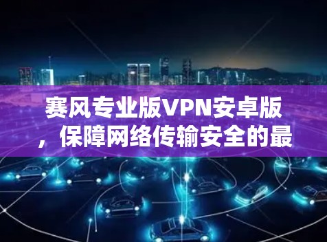 赛风专业版VPN安卓版，保障网络传输安全的最新解决方案