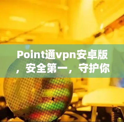 Point通vpn安卓版，安全第一，守护你的网络安全