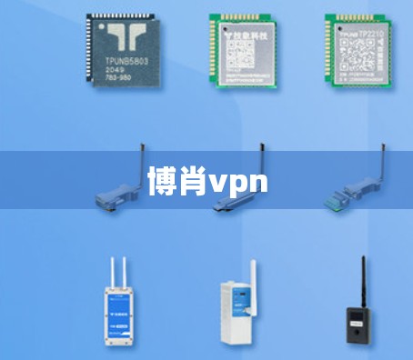 博肖vpn