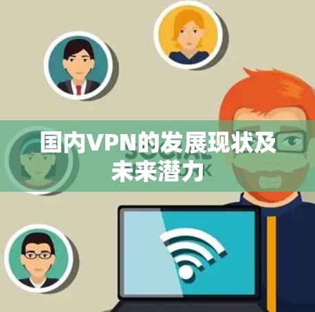国内VPN的发展现状及未来潜力