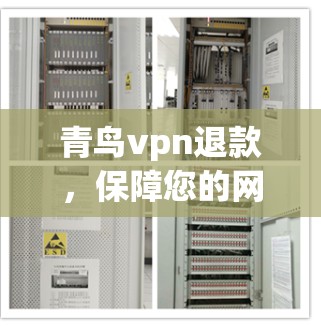 青鸟vpn退款，保障您的网络安全，选择正确的方式
