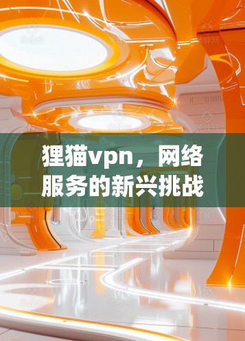 狸猫vpn，网络服务的新兴挑战与解决方案