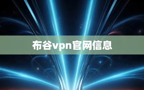 布谷vpn官网信息