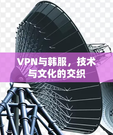 VPN与韩服，技术与文化的交织