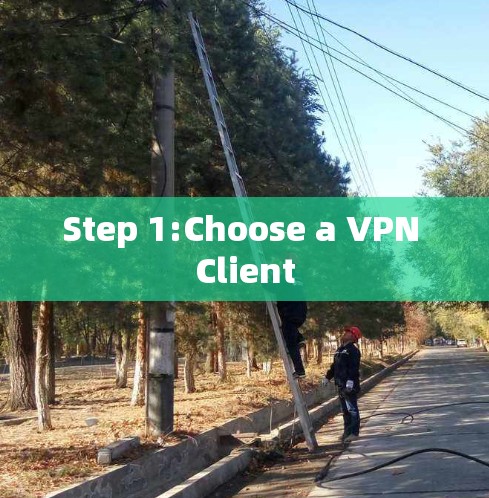 Step 1:Choose a VPN Client