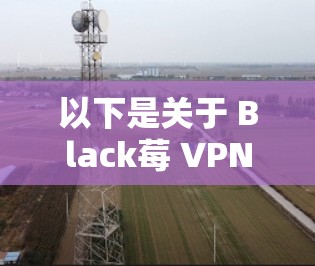 以下是关于 Black莓 VPN 的一些关键信息