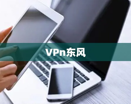 VPn东风