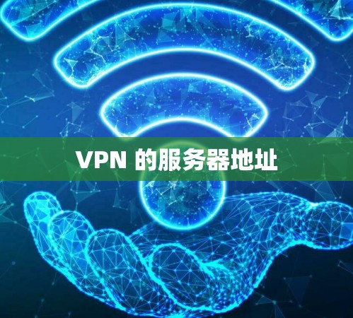 VPN 的服务器地址