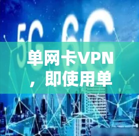单网卡VPN，即使用单一网络设备来构建虚拟网络（VPN）是一种灵活且低成本的网络加密服务。以下是对单网卡VPN的详细介绍