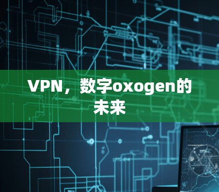 VPN，数字oxogen的未来