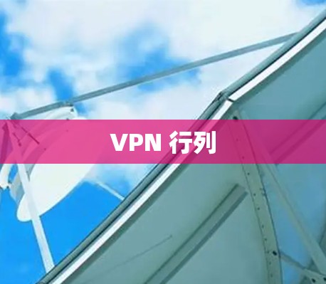 VPN 行列