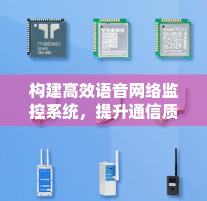 构建高效语音网络监控系统，提升通信质量