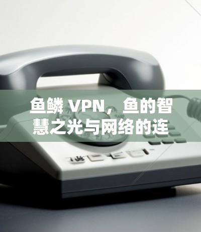 鱼鳞 VPN，鱼的智慧之光与网络的连接