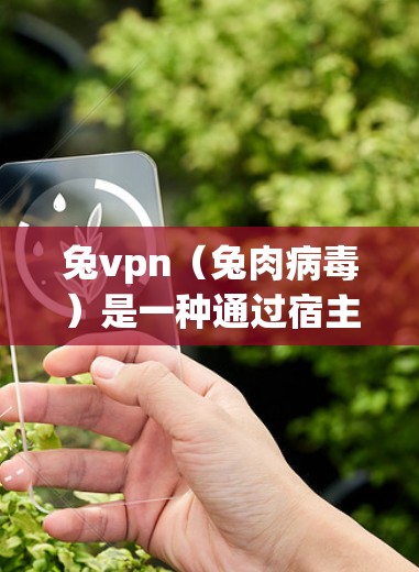 兔vpn（兔肉病毒）是一种通过宿主体内复制的病毒，主要通过兔子感染，属于寄生病毒的一种。以下是对兔vpn的详细分析