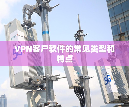 VPN客户软件的常见类型和特点