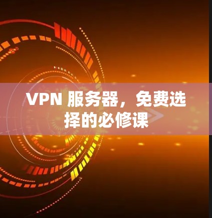 VPN 服务器，免费选择的必修课