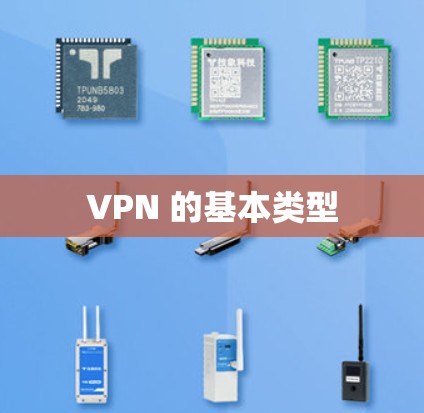 VPN 的基本类型