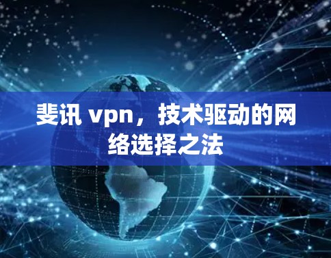 斐讯 vpn，技术驱动的网络选择之法