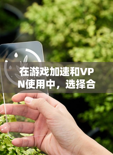 在游戏加速和VPN使用中，选择合适的工具对提升游戏体验至关重要。以下是关于网游加速器VPN的详细分析