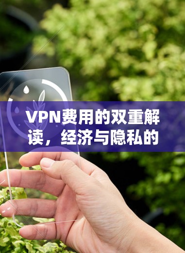 VPN费用的双重解读，经济与隐私的两难