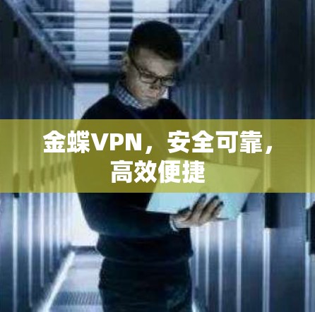 金蝶VPN，安全可靠，高效便捷