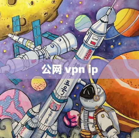 公网 vpn ip