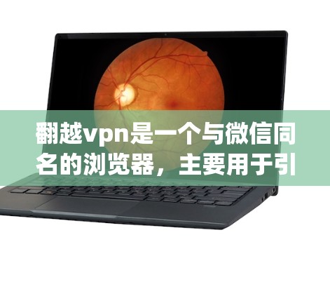 翻越vpn是一个与微信同名的浏览器，主要用于引导用户在互联网上进行信息浏览、浏览网页内容。它支持查看网页内容的搜索功能，允许用户在网页内查找特定信息，但不能直接访问或下载网页内容