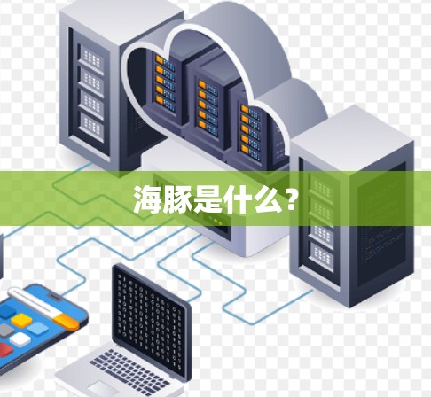 海豚是什么？