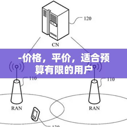 -价格，平价，适合预算有限的用户