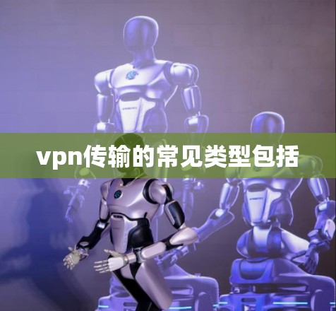 vpn传输的常见类型包括 vpn传输的常见类型包括