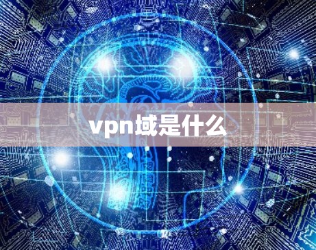 vpn域是什么