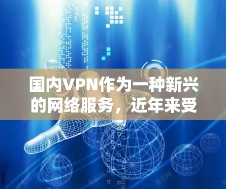 国内VPN作为一种新兴的网络服务，近年来受到广泛关注，但其安全性、使用门槛和隐私保护措施等方面存在一定的挑战。以下是对国内VPN的详细介绍，帮助您更好地评估其适用性和安全性