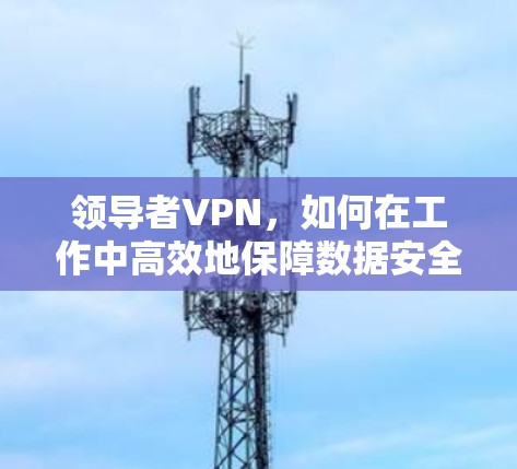 领导者VPN，如何在工作中高效地保障数据安全