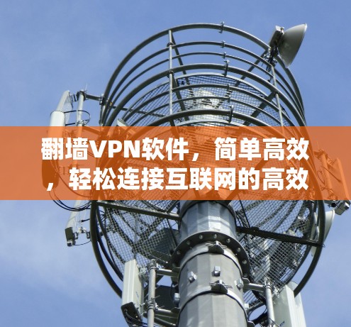 翻墙VPN软件，简单高效，轻松连接互联网的高效解决方案