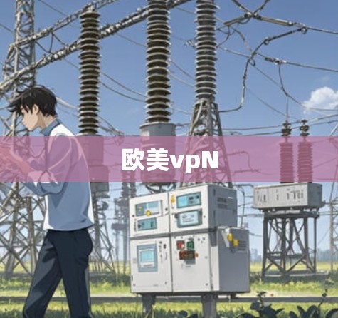 欧美vpN