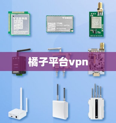 橘子平台vpn