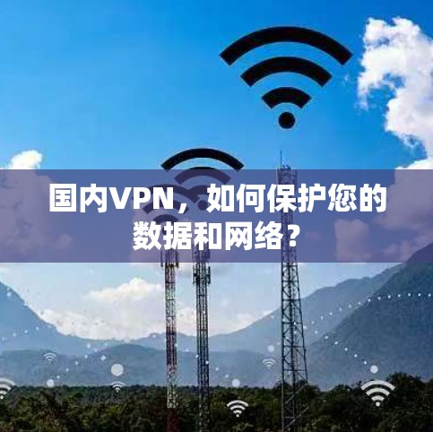 国内VPN，如何保护您的数据和网络？