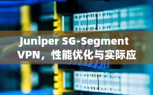 Juniper SG-Segment VPN,性能优化与实际应用 Juniper SG-Segment VPN,性能优化与实际应用