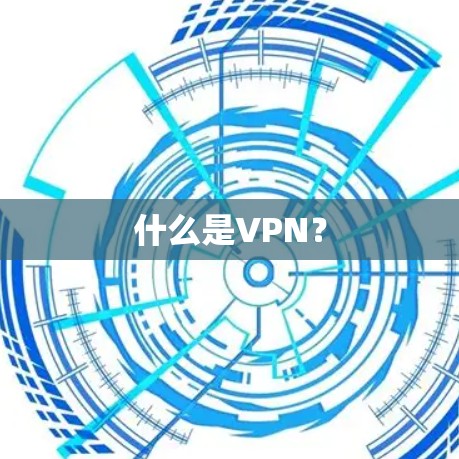 什么是VPN? 什么是VPN?