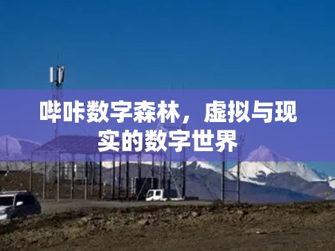 哔咔数字森林,虚拟与现实的数字世界 哔咔数字森林,虚拟与现实的数字世界