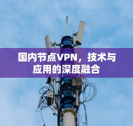 国内节点VPN,技术与应用的深度融合 国内节点VPN,技术与应用的深度融合