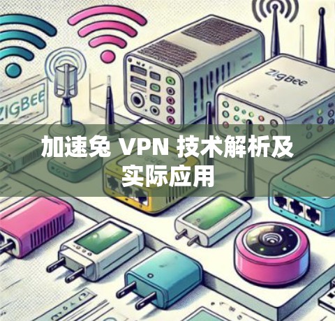 加速兔 VPN 技术解析及实际应用