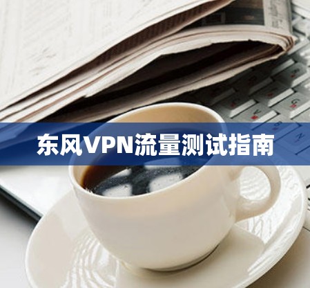 东风VPN流量测试指南