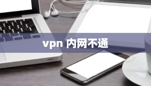 vpn 内网不通