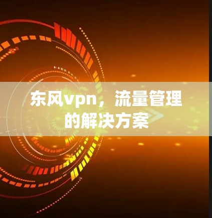 东风vpn，流量管理的解决方案