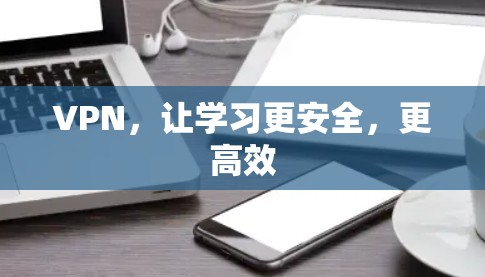 VPN,让学习更安全,更高效 VPN,让学习更安全,更高效