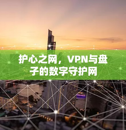护心之网，VPN与盘子的数字守护网