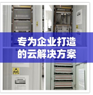 专为企业打造的云解决方案,VPS与专用云服务器的区别 专为企业打造的云解决方案,VPS与专用云服务器的区别