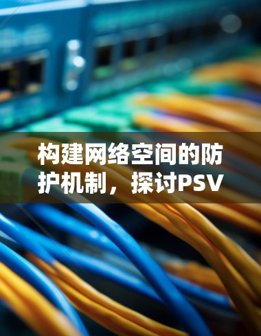 构建网络空间的防护机制，探讨PSV挂VPN的安全性与实用性