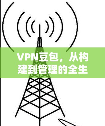 VPN豆包，从构建到管理的全生命周期解决方案
